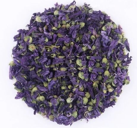 Fleurs violettes séchées